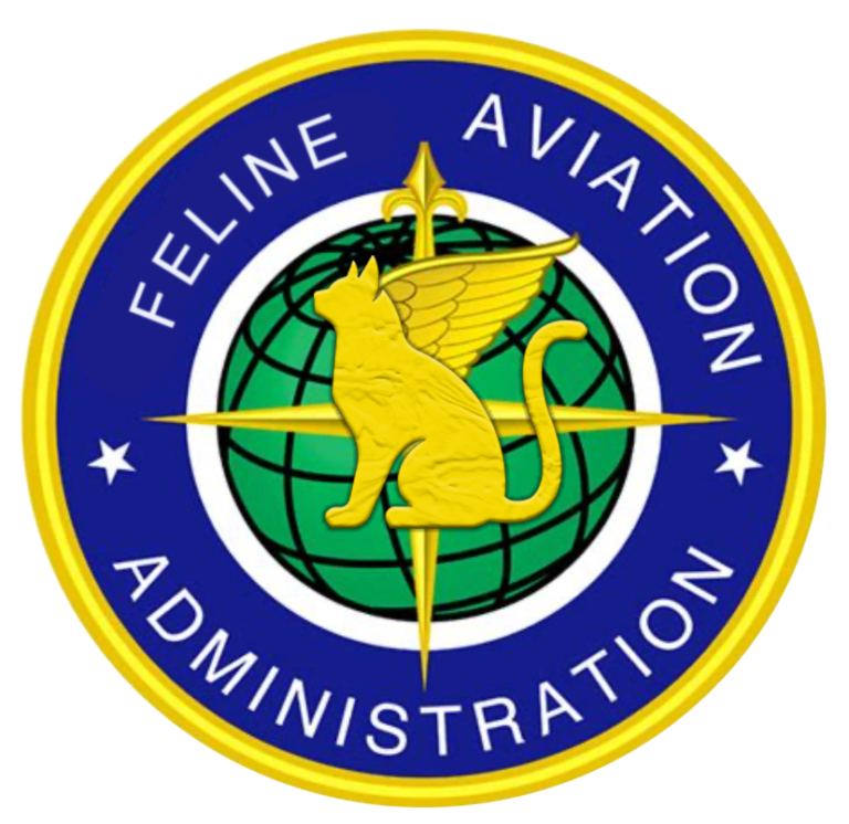 FAA releases strict new guidelines with heavy fines