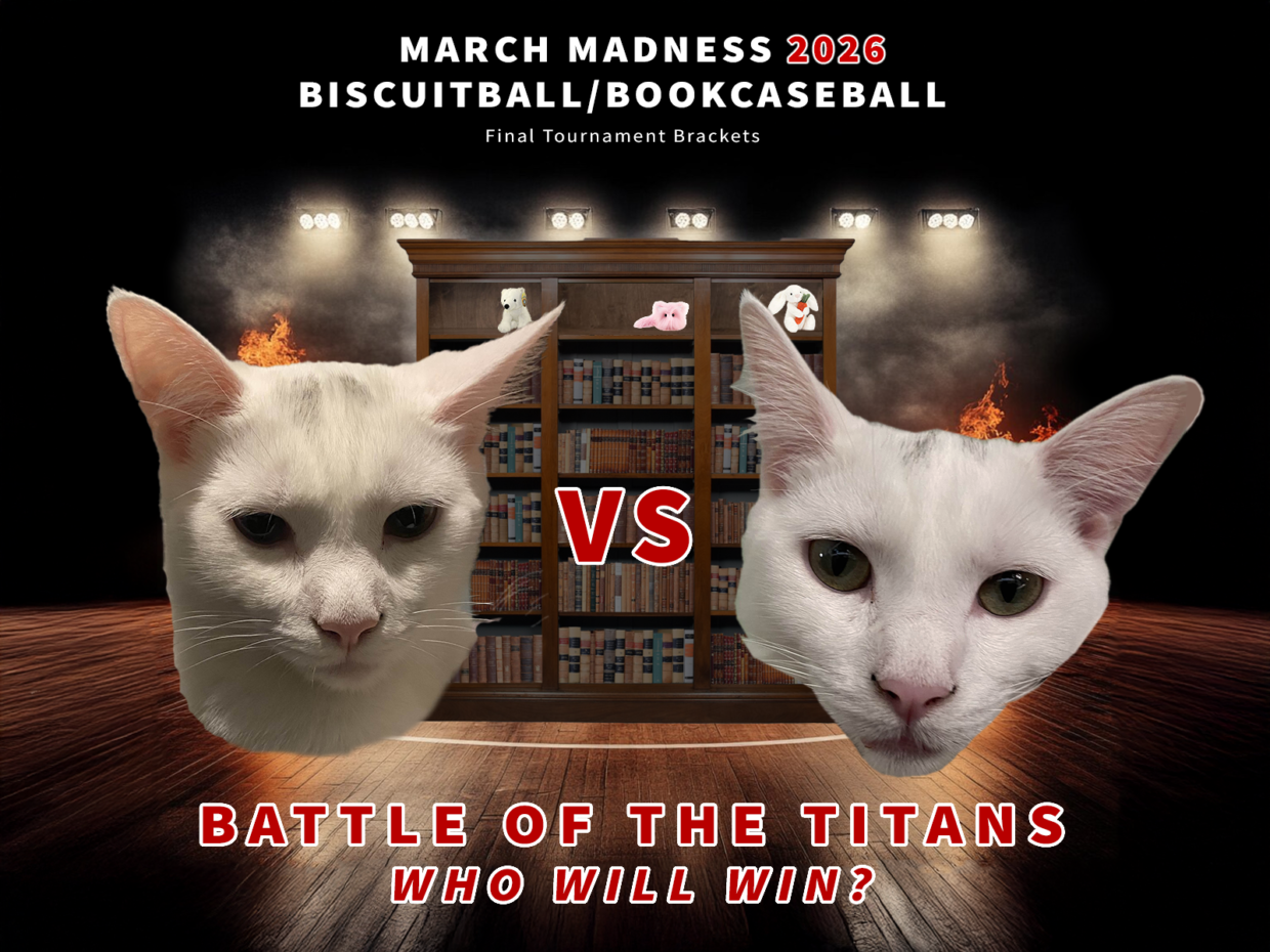 2026 Biscuitball Tournament